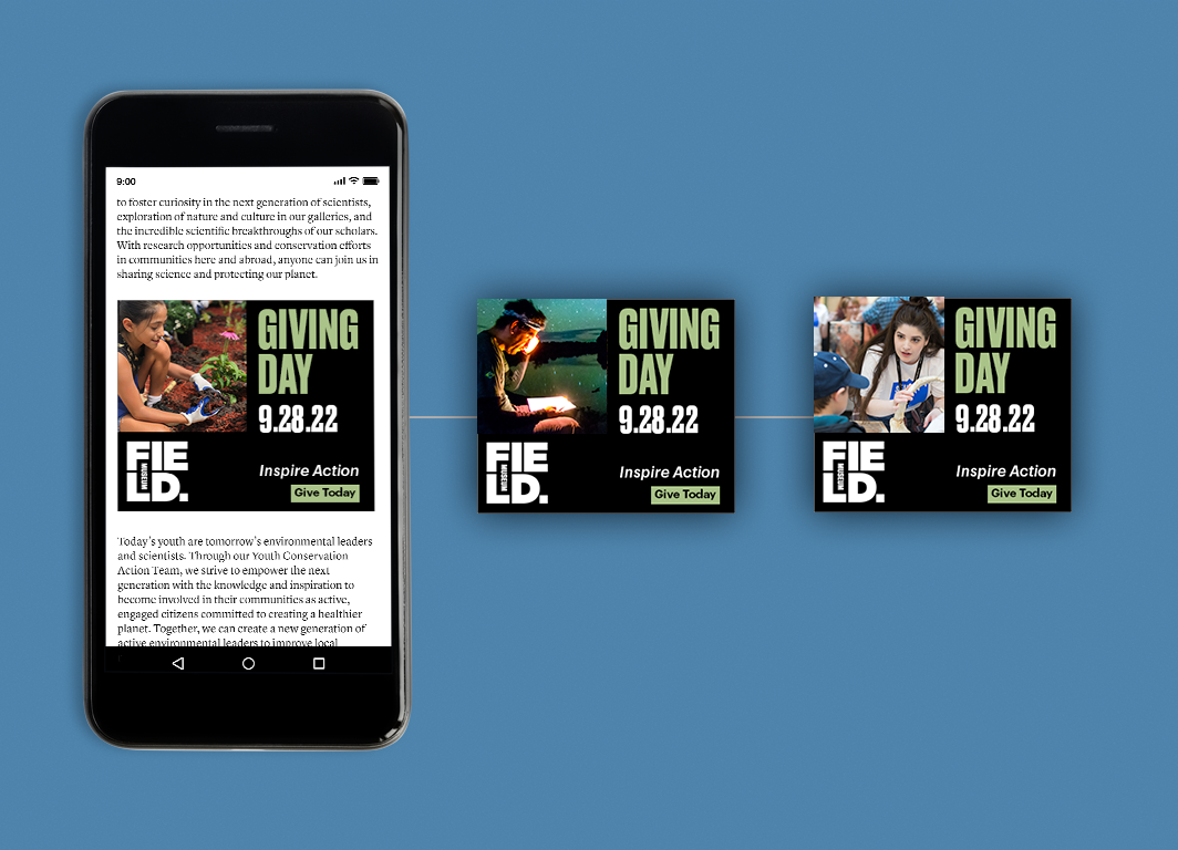 5_Field-GD_Phone IP Ads